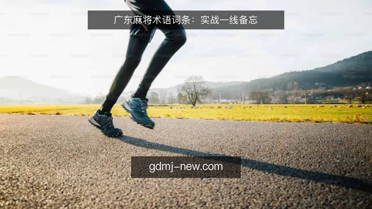 广东麻将术语词条:实战一线备忘