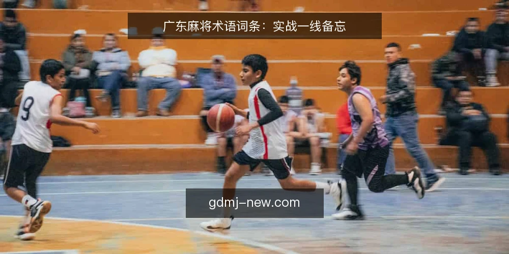 广东麻将术语词条:实战一线备忘 — 牌型术语:看什么 配图