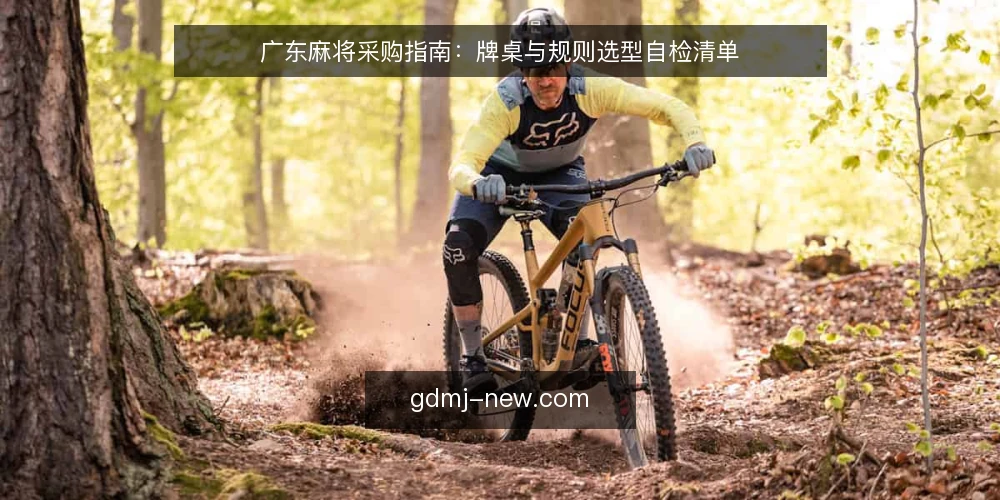 广东麻将采购指南：牌桌与规则选型自检清单 — 为什么现在做一次广东麻将选型审计 配图