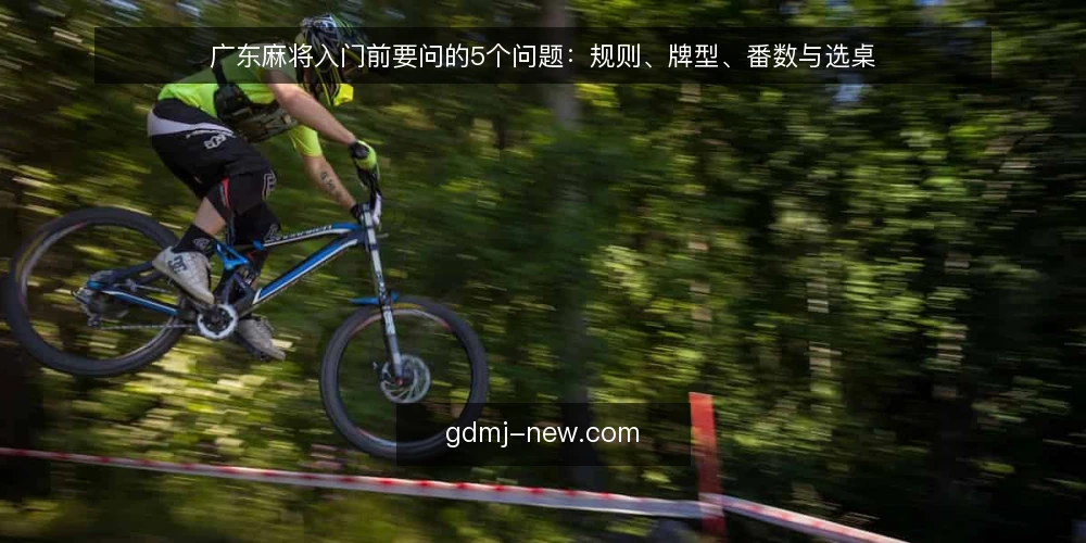 广东麻将入门前要问的5个问题：规则、牌型、番数与选桌 — 广东麻将到底需要先弄懂什么？ 配图